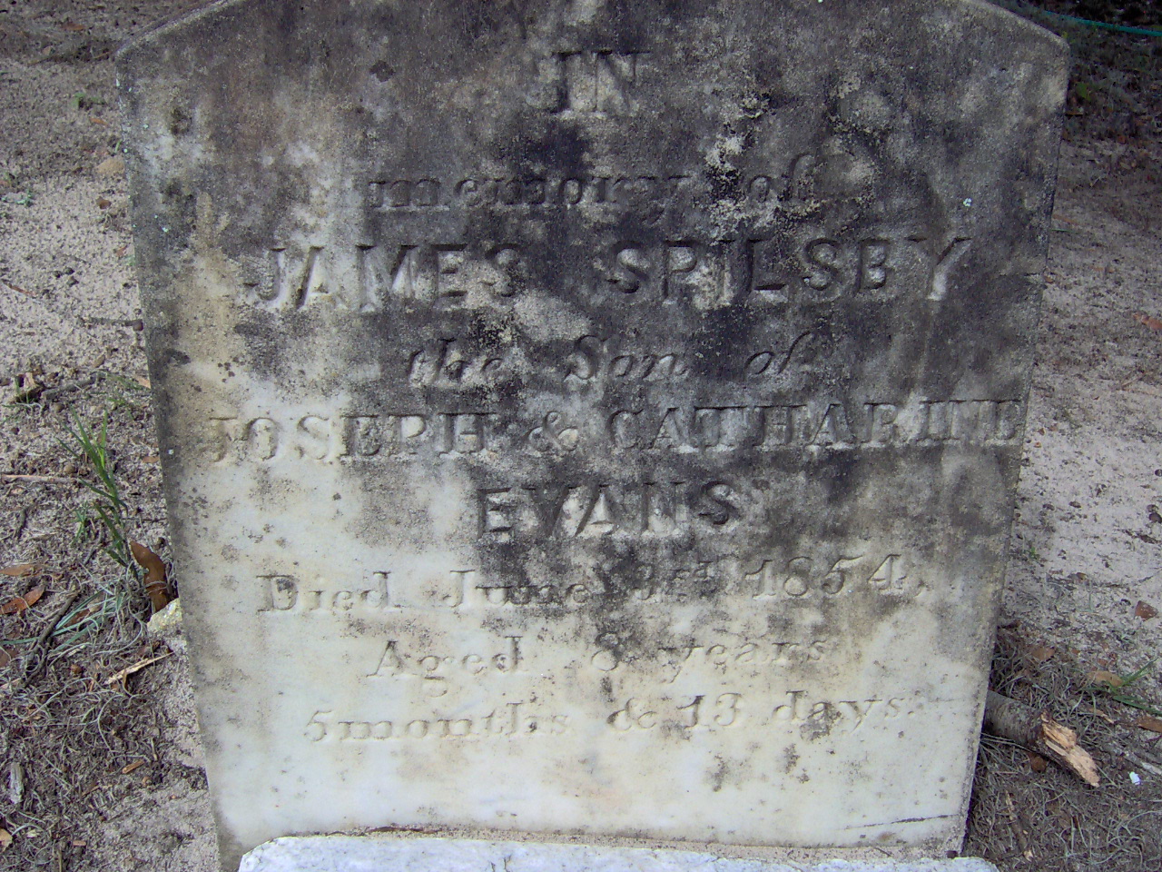 Headstone for Evans, James Spilsby